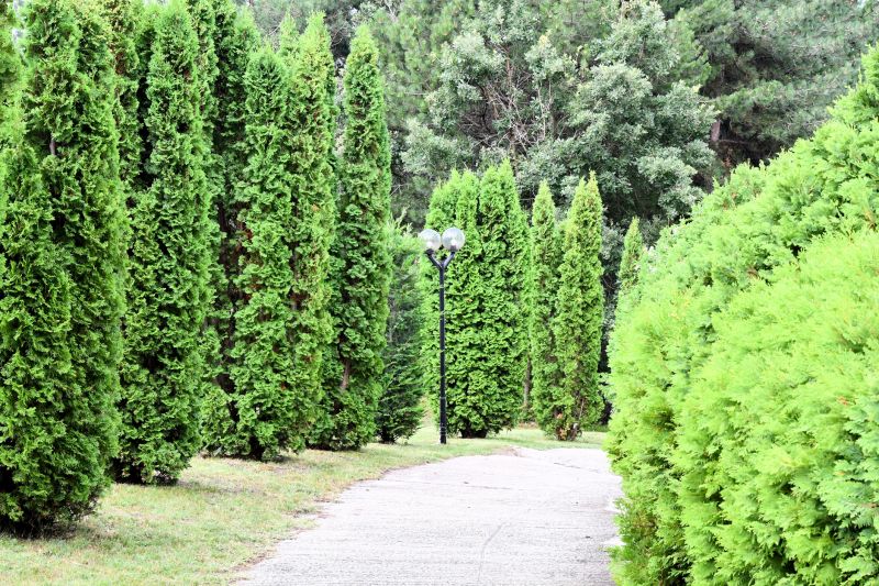 Concrete Path Construction